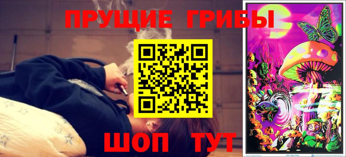 Галлюциногенные грибы MAGIC MUSHROOMS  закладки  Нерюнгри  Галлюциногенные грибы MAGIC MUSHROOMS  Вход с VPN 